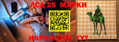мяу мяу мука Гулькевичи
