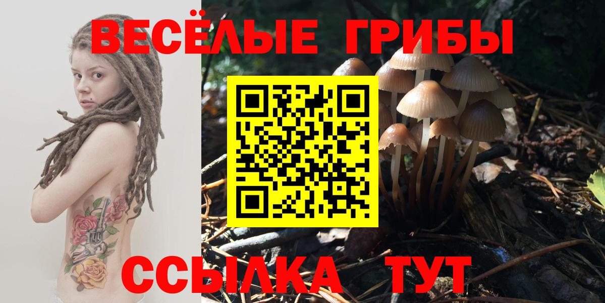 Псилоцибиновые грибы Cubensis  Вход с VPN  Иваново  Галлюциногенные грибы мицелий 
