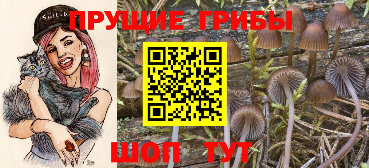 Галлюциногенные грибы прущие грибы Иваново